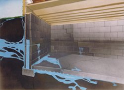 water in basement image