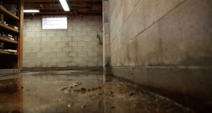 wet basement Port Perry