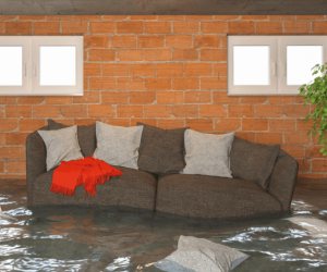 How to Tackle a New House with a Wet Basement?