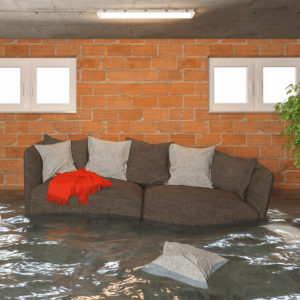 How to Tackle a New House with a Wet Basement?