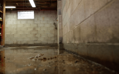 Tips to Follow When Using a Dehumidifier to Dry Out the Basement