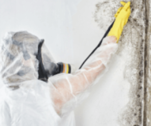 3 Potential Risks of DIY Mould Removal