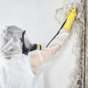 3 Potential Risks of DIY Mould Removal