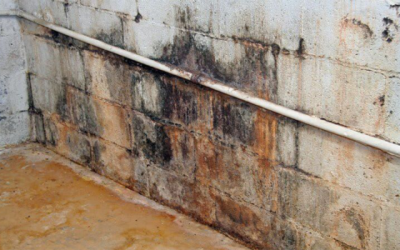 Have a Leaking Basement? These Might Be the Reasons!