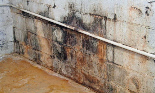 Have a Leaking Basement? These Might Be the Reasons!