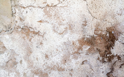 6 Tips to Reduce Basement Condensation
