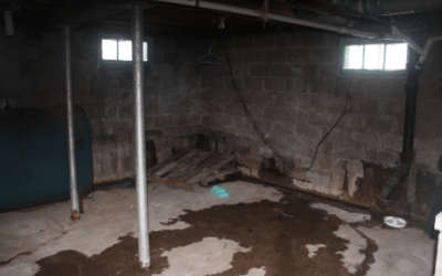 Waterproofing Paint: Does it Work? Read This Now!
