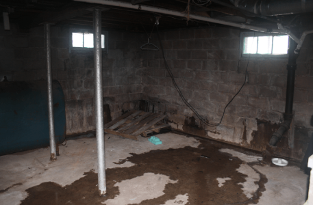Waterproofing Paint: Does it Work? Read This Now!