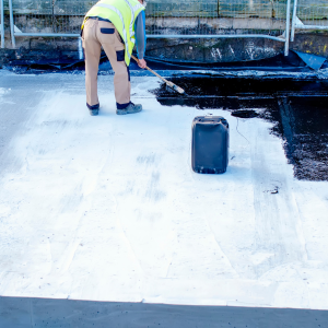Wet Basement Solutions
