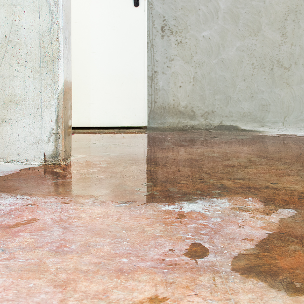 Keep Your Basement Dry with Waterproofing in Collingwood, Owen Sound, and Hanover