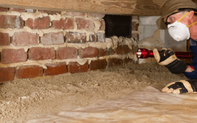 Protect Your Home with Expert Basement Waterproofing and Crawl Space Solutions