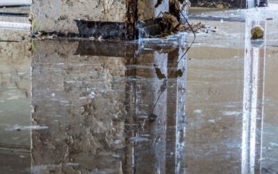 Expert Wet Basement Solutions and Repair in Ontario