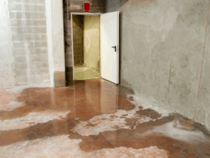 Wet Basement