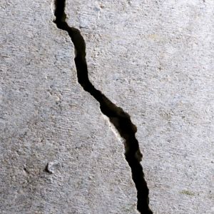 Protecting Your Ontario Home from Water Damage: Expert Solutions for a Dry Basement